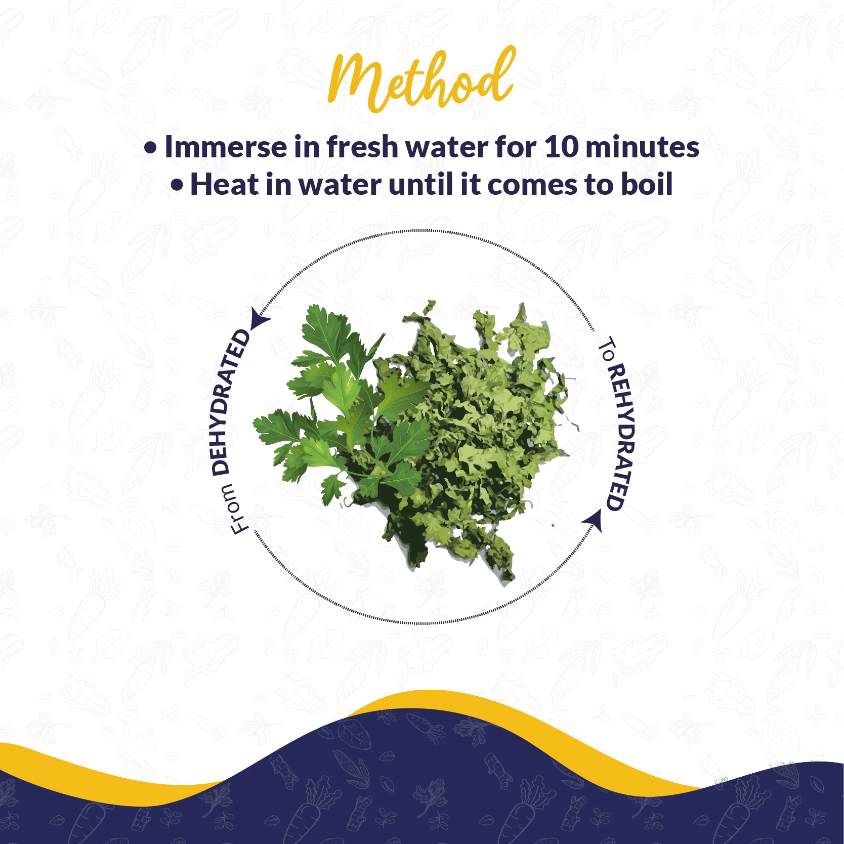 Dehydrated Coriander Leaves - Image 5