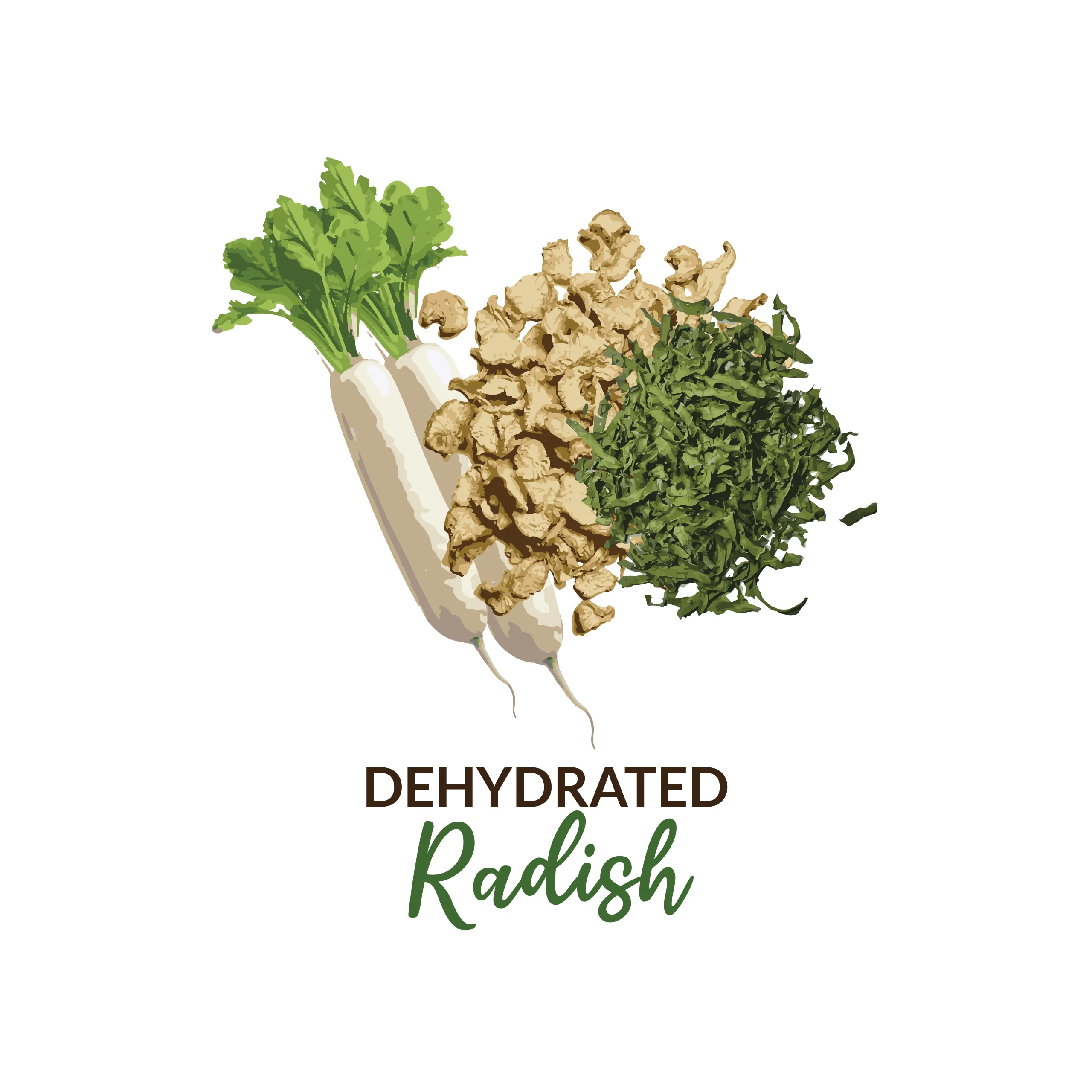 Dehydrated Radish and Leaves Flakes - Image 5